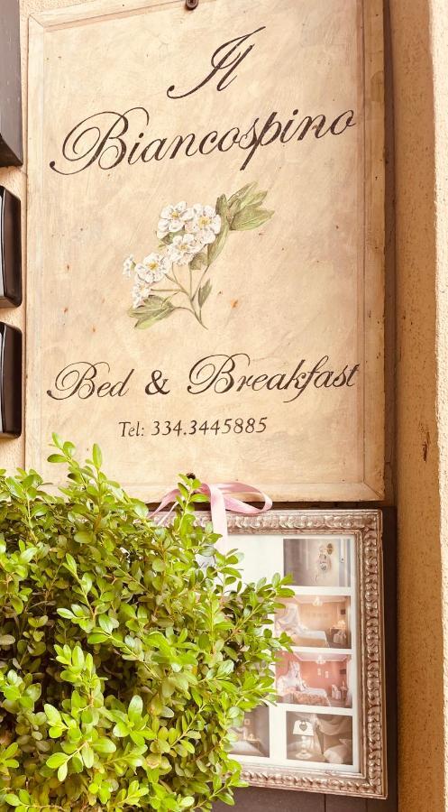 B&B Il Biancospino Abbadia San Salvator Exterior foto